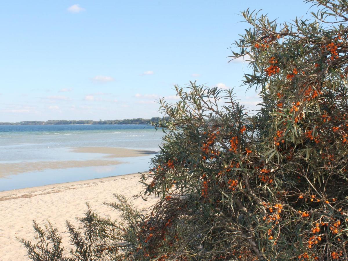 Attractive Apartment In Kluetz Near The Sea Esterno foto